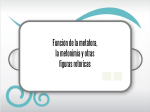 Funci&oacute;n de la met&aacute;fora, la metonimia y otras figuras ret&oacute;ricas
