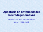 Apoptosis En Enfermedades Neurodegenerativas
