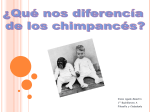 ¿Qué nos diferencía de los chimpancés?