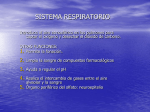 sistema respiratorio