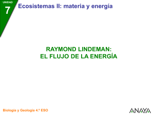 Raymond Lindeman: el flujo de la energía
