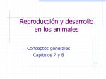 Reproducción en los animales