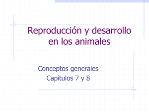 Reproducción en los animales