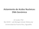 Lab2_Aislamiento_Acidos_Nucleicos_Genomico