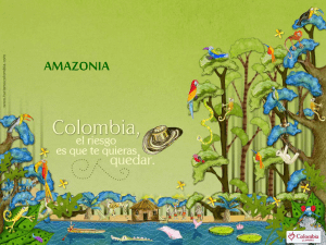 AMAZONIA REGIÓN DEL AMAZONAS