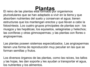Plantas - Ciencias de los alimentos