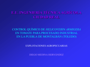 Control químico de helicoverpa armigera en tomate para procesado