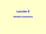 8) Genética bacteriana. - Mi portal