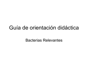 Bacterias relevantes