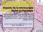 Imagen digital, telepatología y congreso virtual
