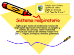 Sistema respiratorio - Colegio Santa Sabina