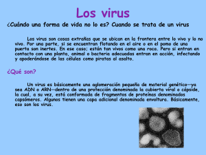 Los virus y bacterias
