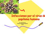 Infecciones por el virus del papiloma humano
