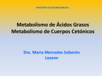 Metabolismo de Ácidos Grasos Metabolismo de Cuerpos Cetónicos