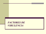 factores de virulencia - Maria Cristina Vasquez