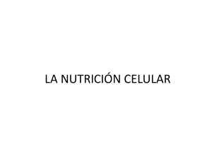 la nutrición celular - cienciasnaturalesgtb