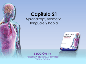 Presentación de PowerPoint - McGraw Hill Higher Education