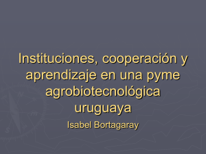 Instituciones, cooperación y aprendizaje en una pyme