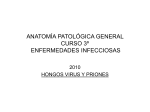 anatomía patológica general curso 3º enfermedades infecciosas