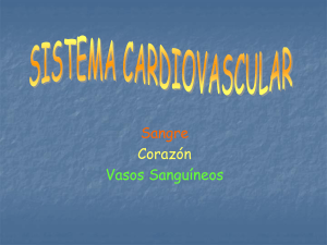 Glóbulos Rojos o Eritrocitos