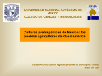 Diapositiva 1 - Portal Académico del CCH