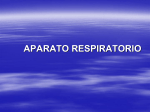 APARATO RESPIRATORIO