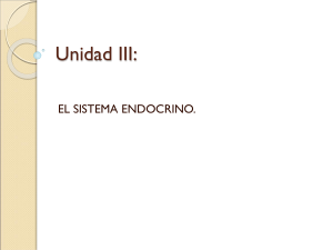 Unidad III: