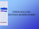 Fisiología del sistema respiratorio