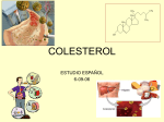 colesterol - Ropaz.net