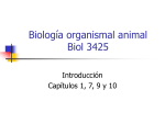 Introducción al estudio de los animales