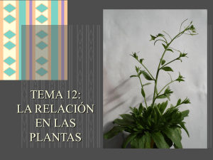 La relación en las plantas