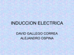 INDUCCION ELECTRICA