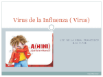 Virus de la Influenza ( Virus)