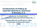 Consejo Nacional de Seguridad Alimentaria y Nutricional
