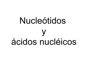 Presentación de PowerPoint