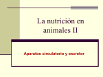 NutricionenanimalesII - Universidad Laboral de Málaga