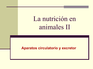 NutricionenanimalesII - Universidad Laboral de M&aacute;laga