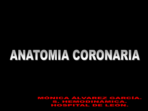 anatomia_coronaria