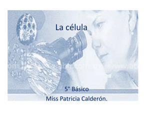 La célula