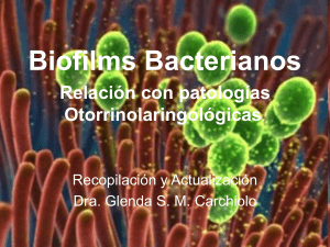 Biofilms Bacterianos - Relación con Patología Otorrinolaringológica