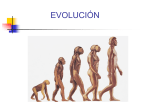 1.4. Evolución PRISCILA