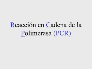 Reacción en cadena de la polimerasa (PCR)