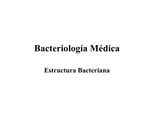 bacteriologia medica