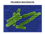 PELIGROS_BIOLÓGICOS