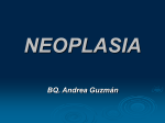 Neoplasia - Amazon S3