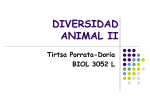 Diversidad animal 2
