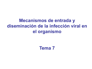 Mecanismos de entrada y diseminación de la infección viral en el