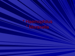 unidad 4-6micro haemophilus