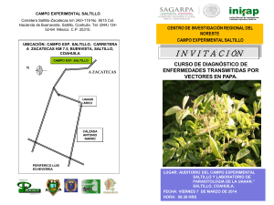 Presentación de PowerPoint