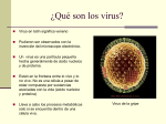 Qué son los virus PRISCILA